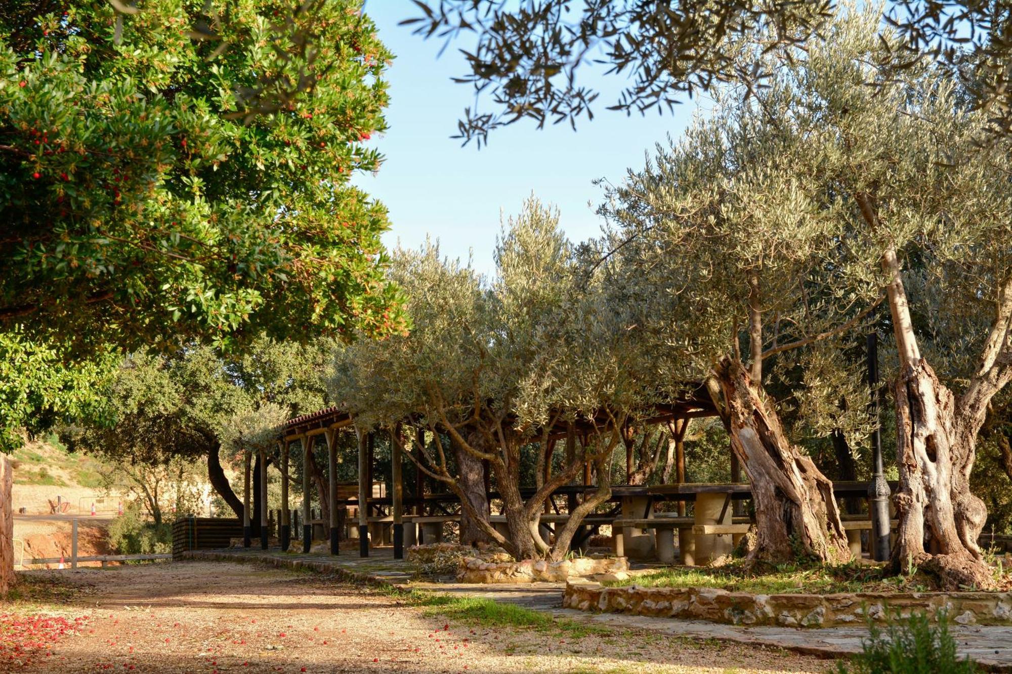 Camping Alquezar Alquézar Exterior foto