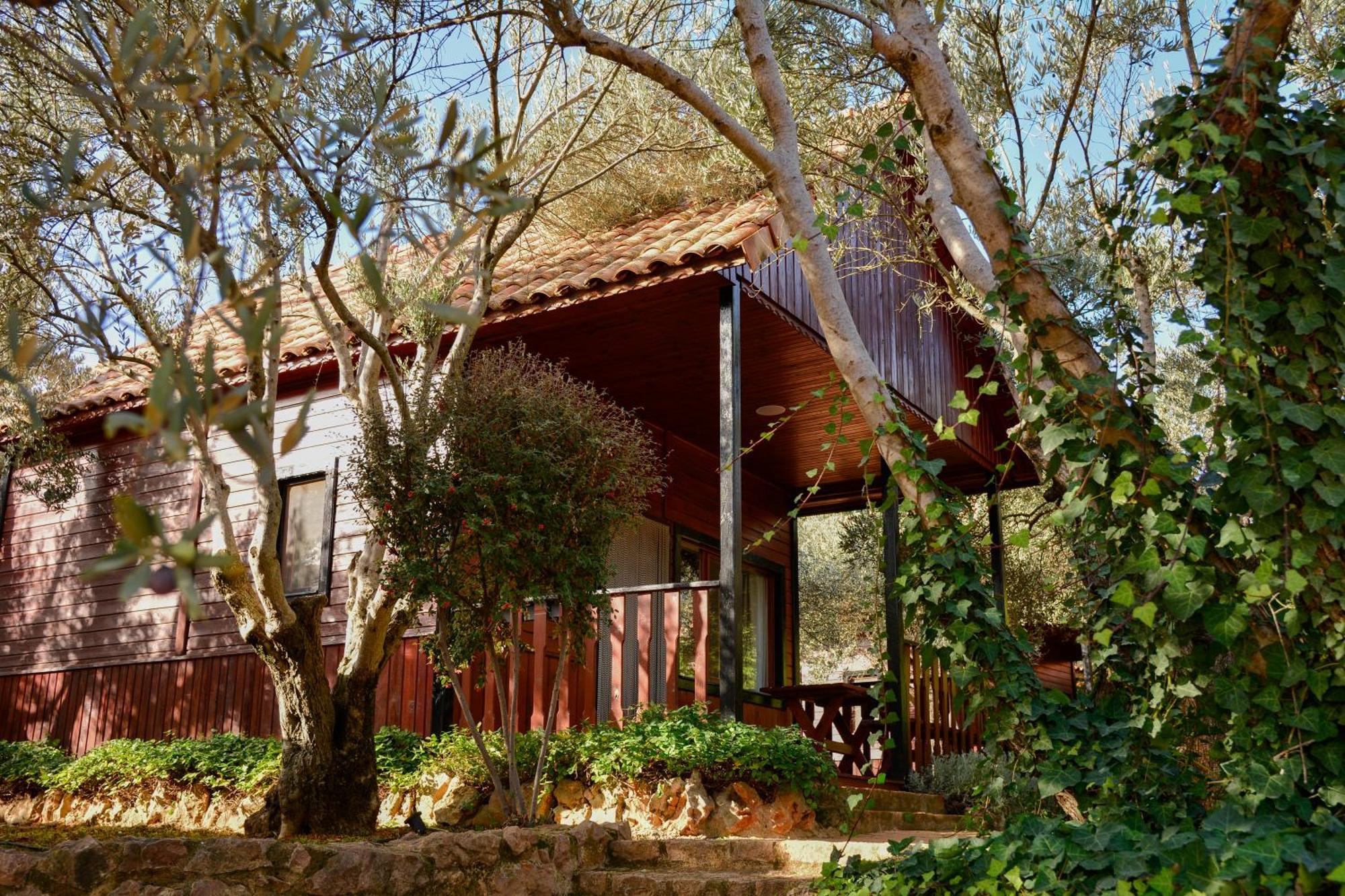 Camping Alquezar Alquézar Exterior foto